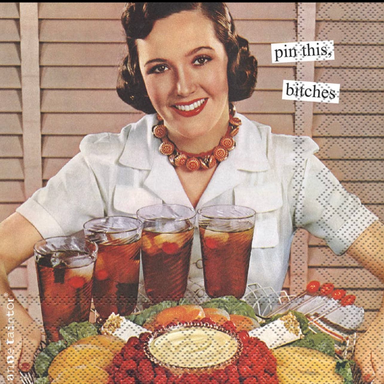 Anne Taintor ”Pin This”…Cocktail Napkins - Pack of 20